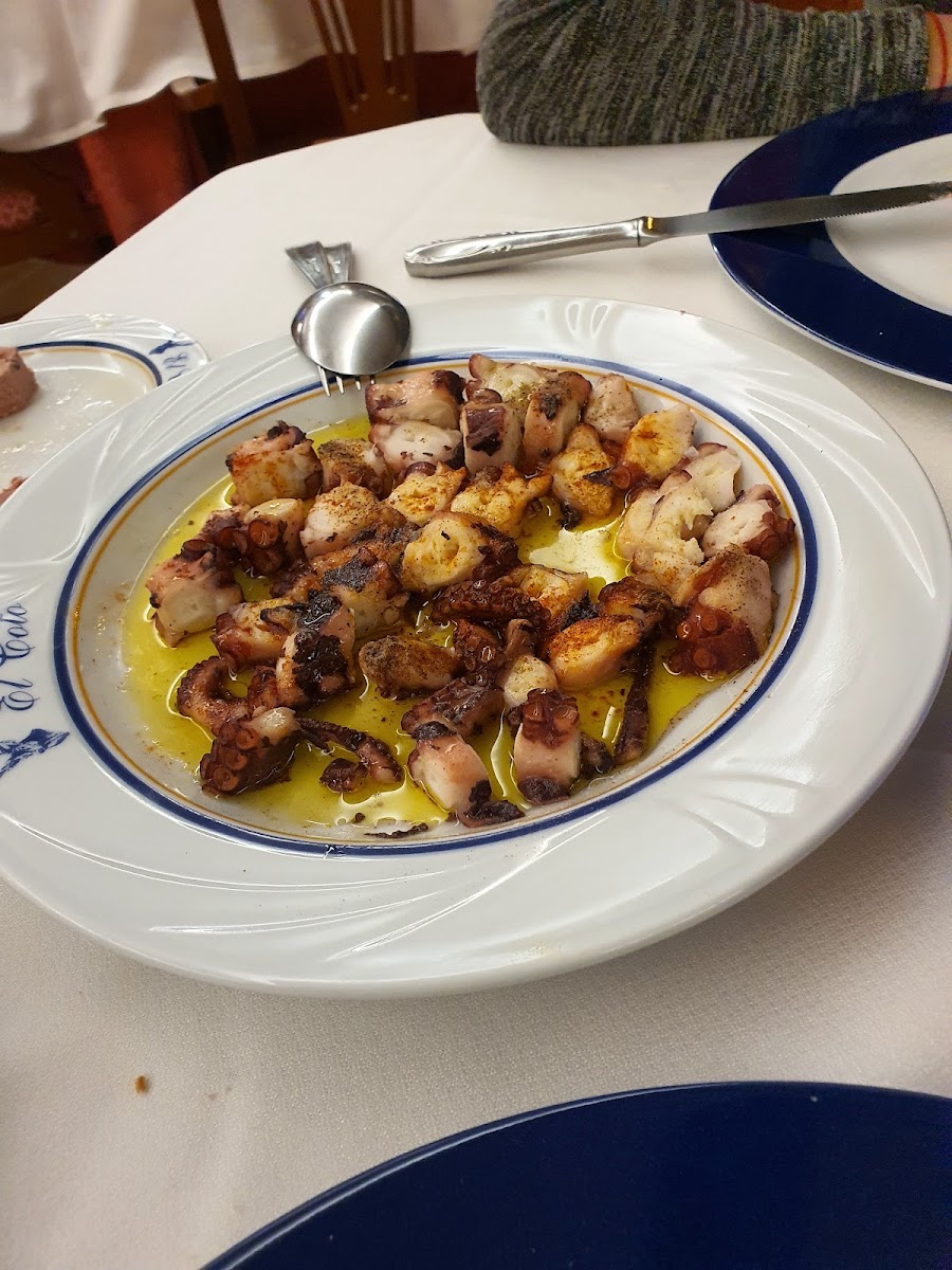 Restaurante El Coto-7